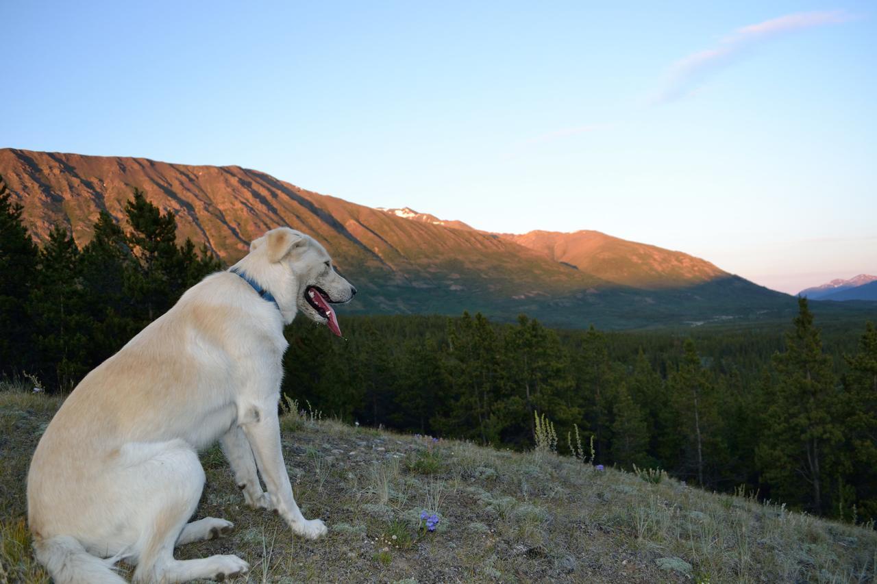 Spirit Lake Lodge Уайтхорс Экстерьер фото